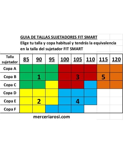 Sujetador Fit Smart P01 EX