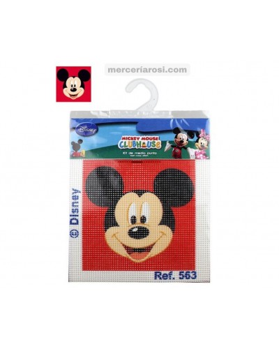 Plancha Petit Point 12 x 12 cm